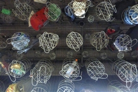 Bottrop (7) Bottrop (7)