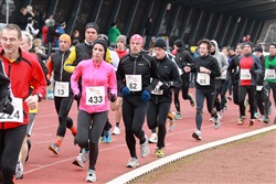 Insellauf_2012_Start (1)