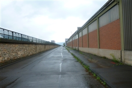 P1130466a (12) P1130466a (12)