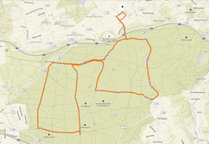 Strecke_Knigsforst_2017_300