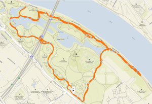 Strecke_Rheinaue_300