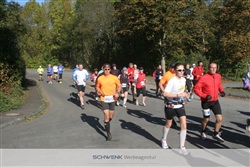 sample_IS_0039_loewenlauf_hbg_2011