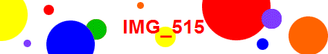 IMG_515