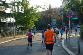 P1300391 P1300391