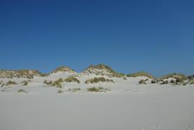 P1330178